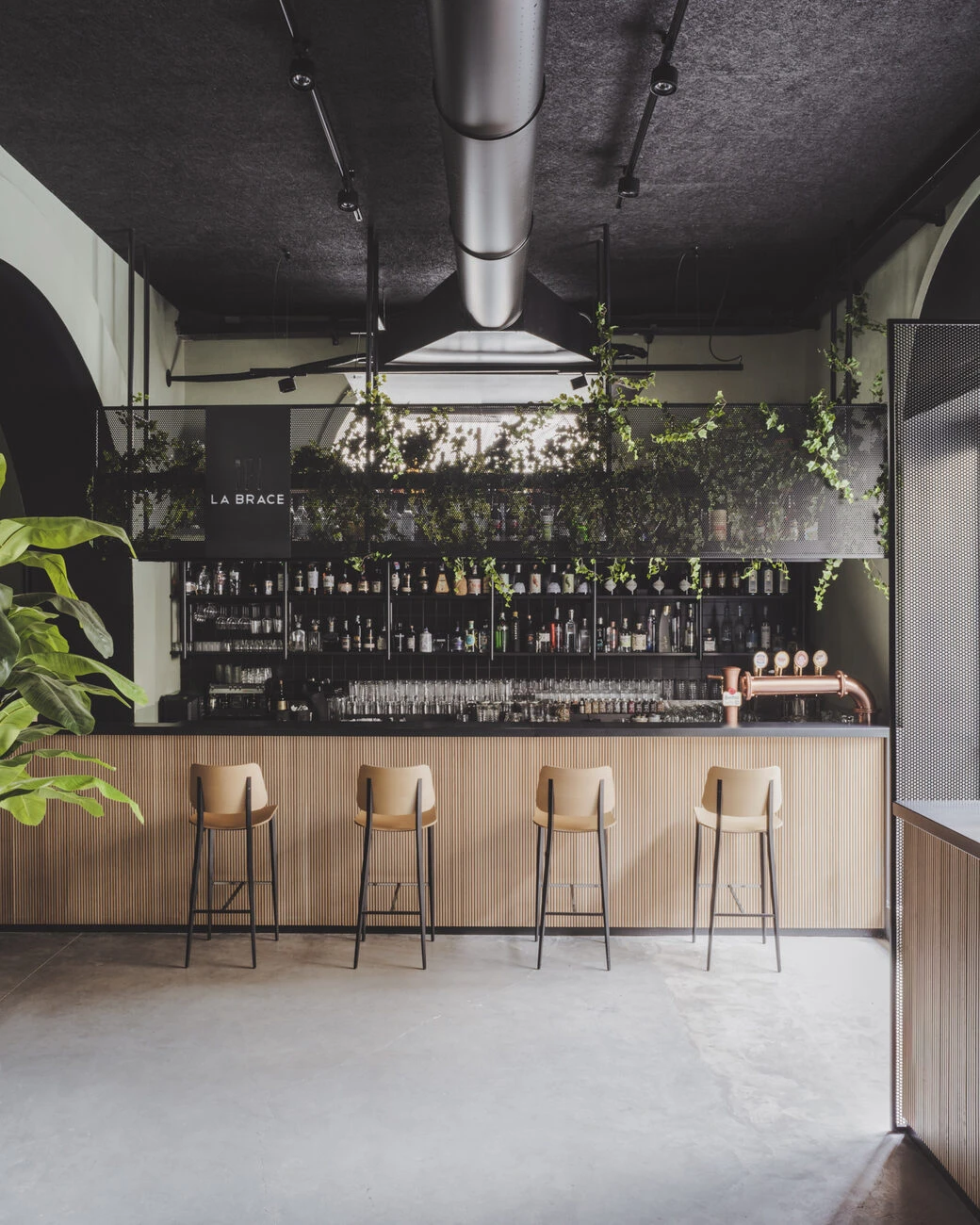 Beyond Space — La Brace Food Experience