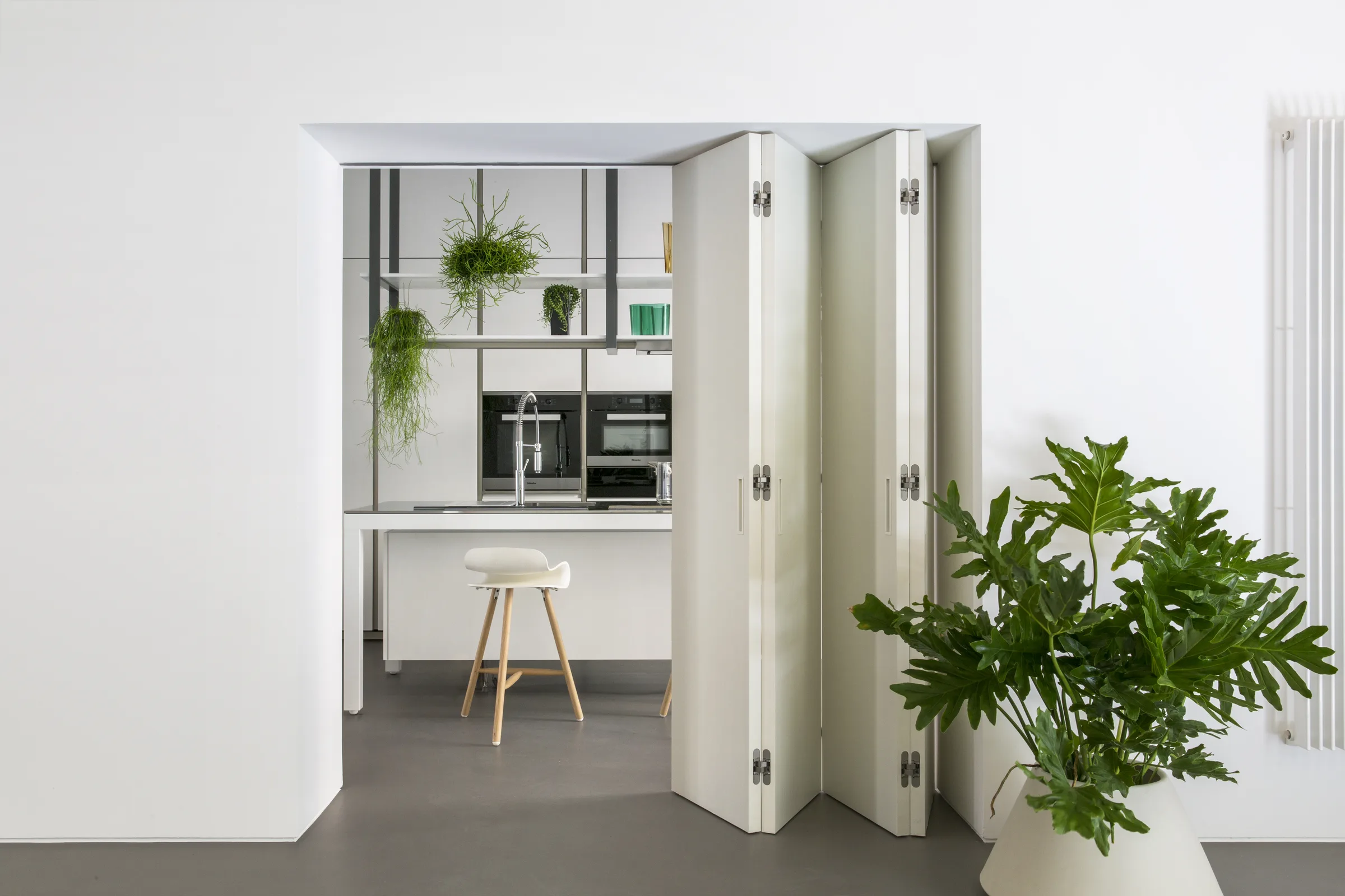 Folding doors opened onto the white kitchen, with a large plant on the right