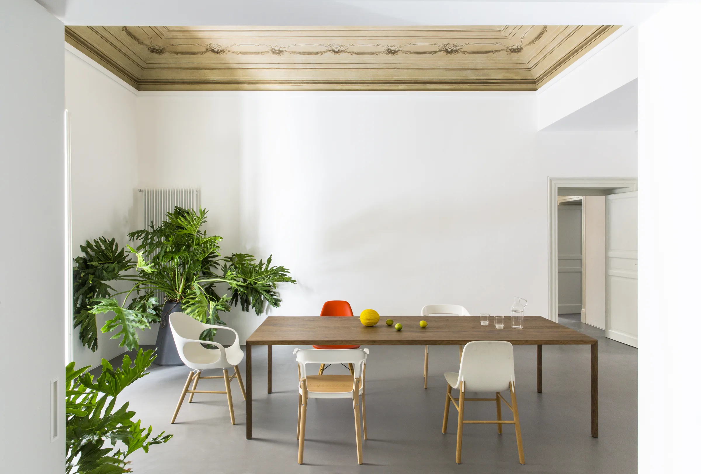 Long wooden table with mismatched chairs among large green plants in a bright room