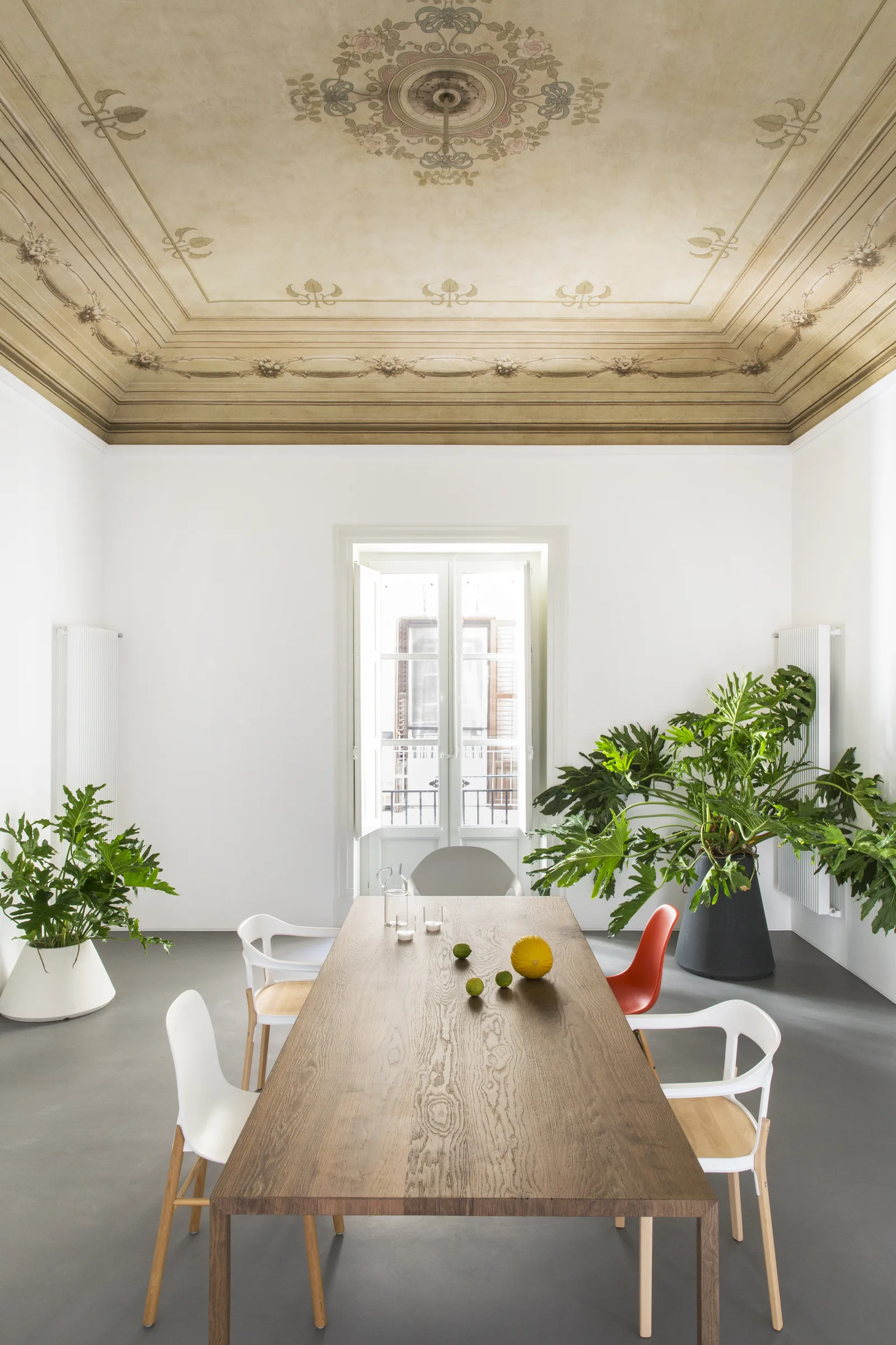 The dining table seen towards the window, with plants on either side