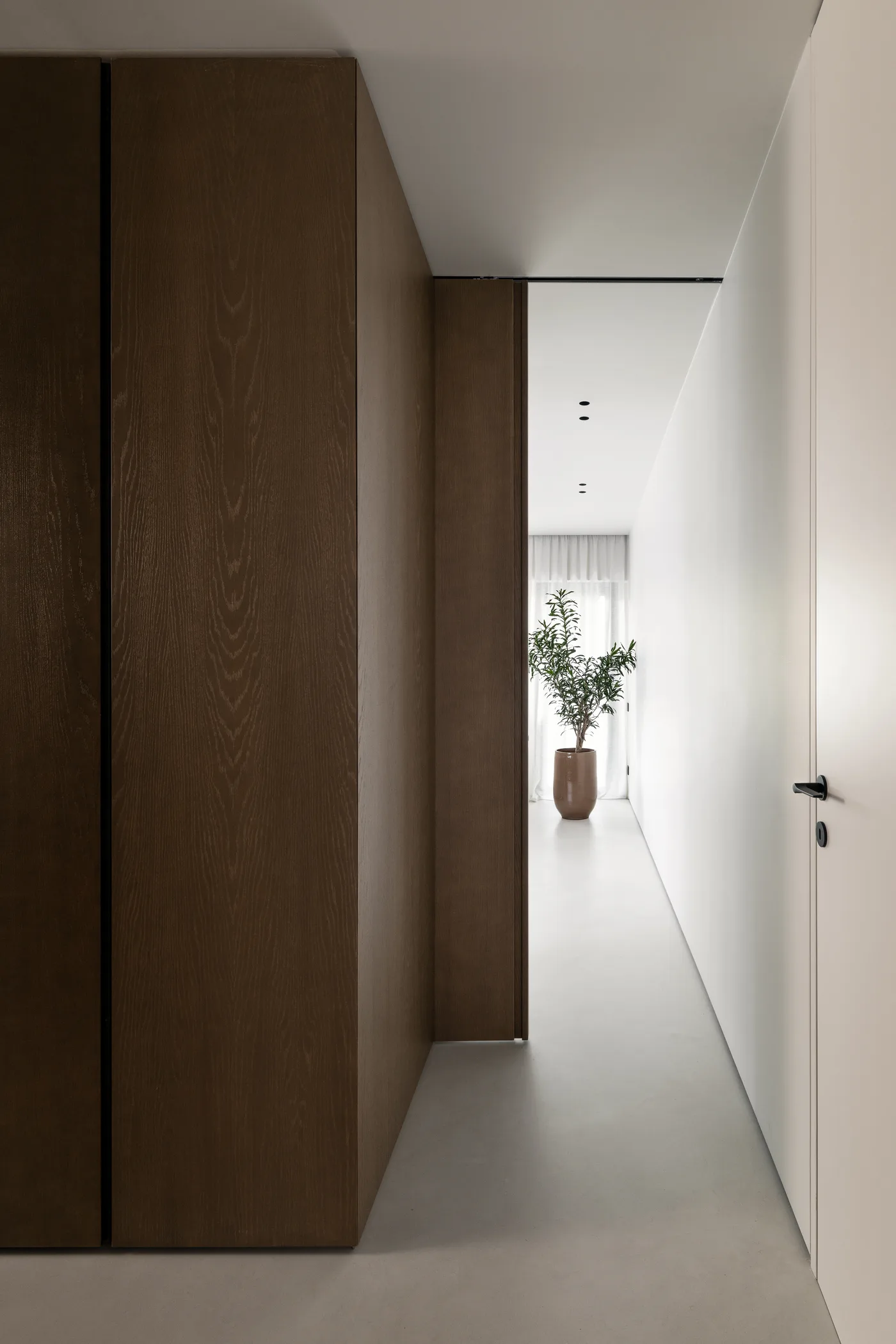 Long corridor with dark wood cabinetry on the left, a white wall with a flush door and a plant at the far end