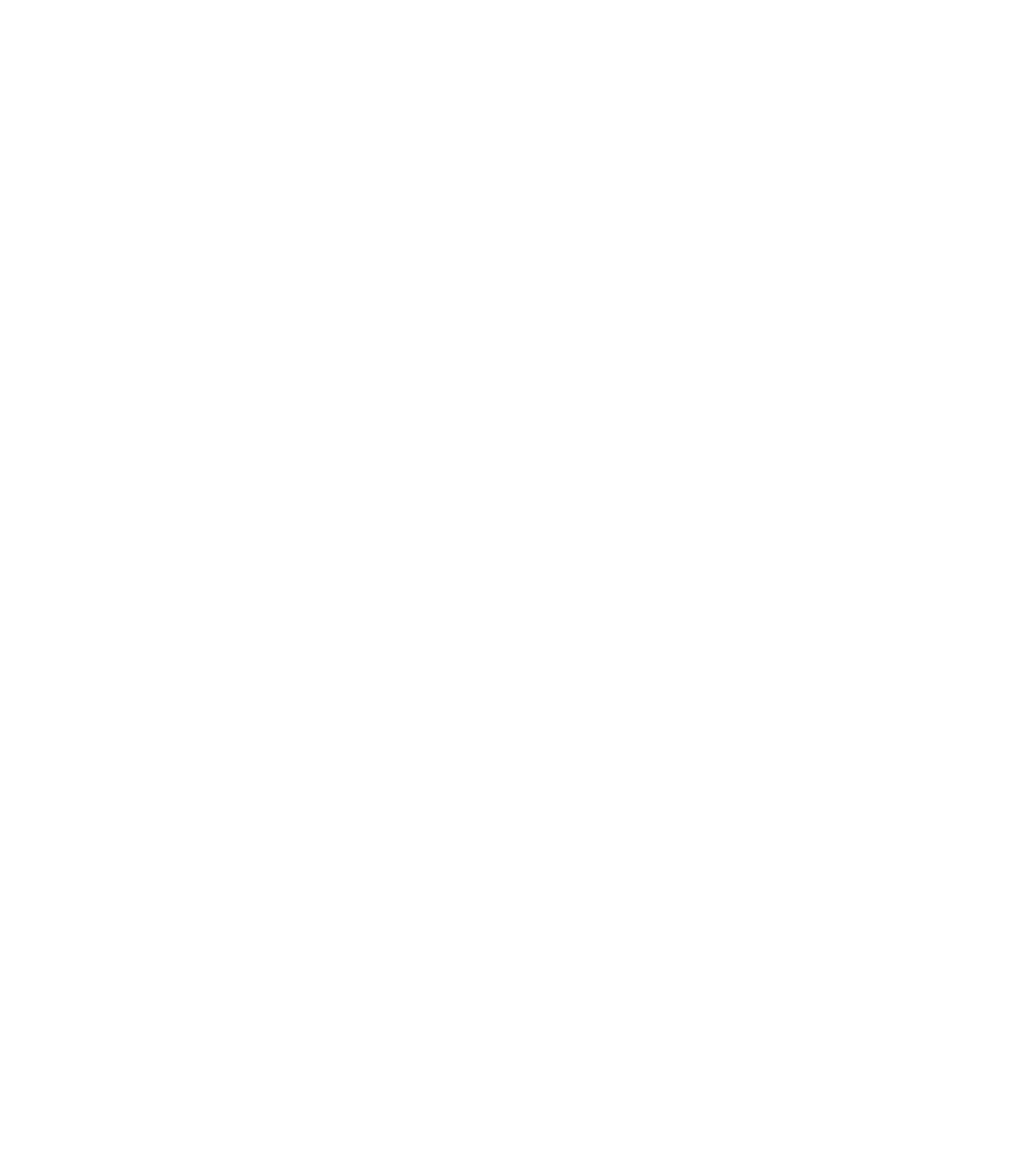 Planimetria del locale, con le sale e i locali di servizio, disegno bianco