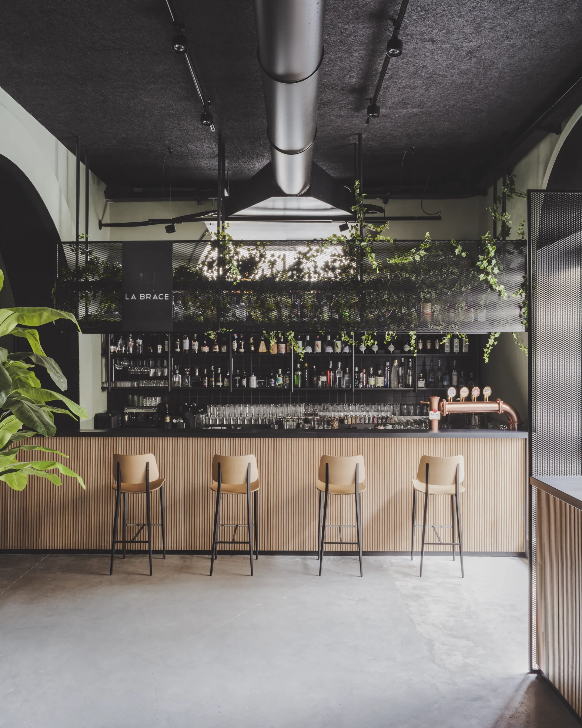Bancone con quattro sgabelli, soffitto nero con tubo metallico e piante sopra le mensole