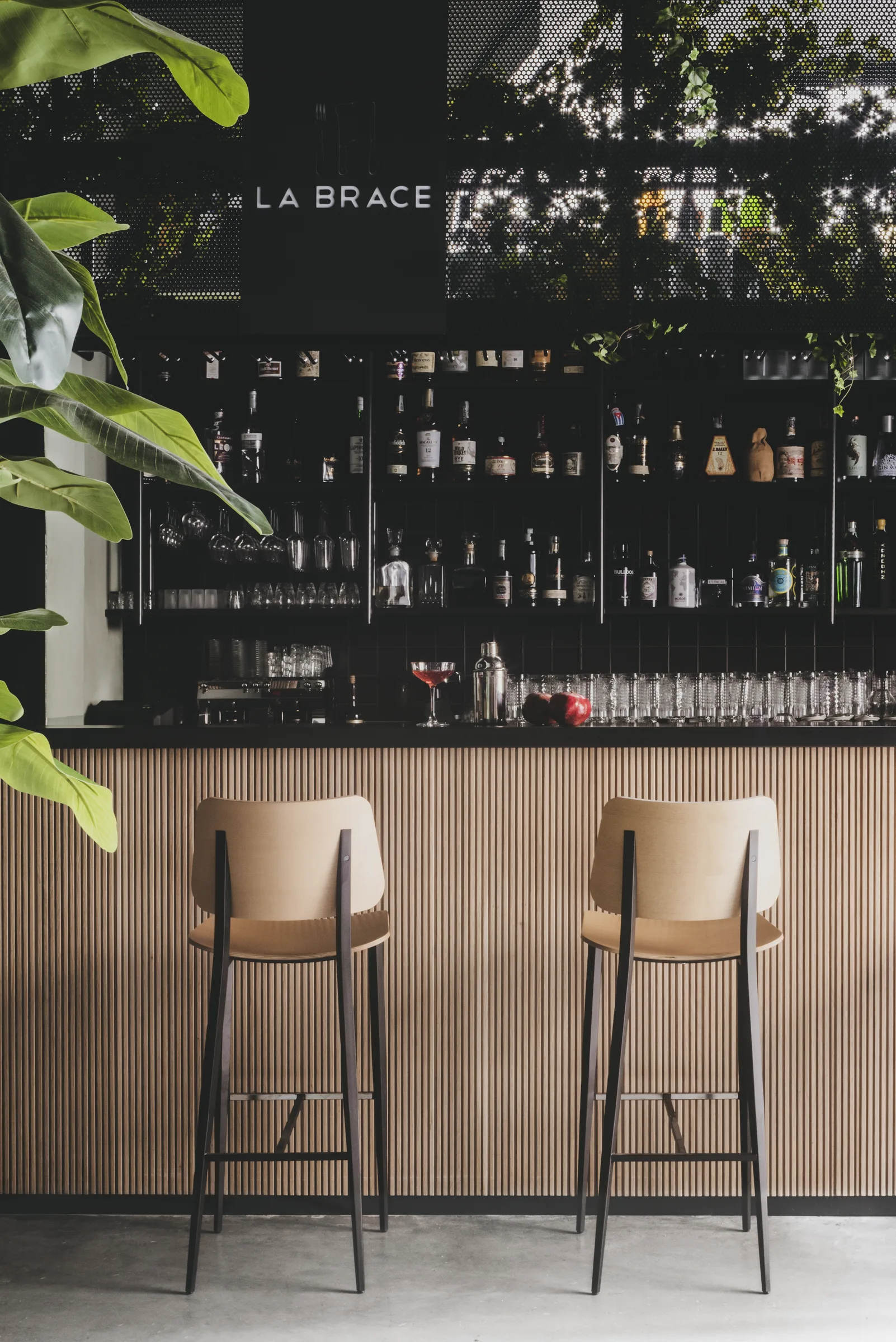 Retro del bar con la parete di bottiglie, piante e due sgabelli in legno davanti al bancone