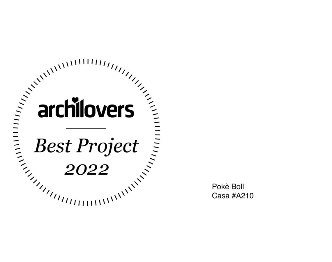 Best Project 2020 — Archilovers — Studio Didea
