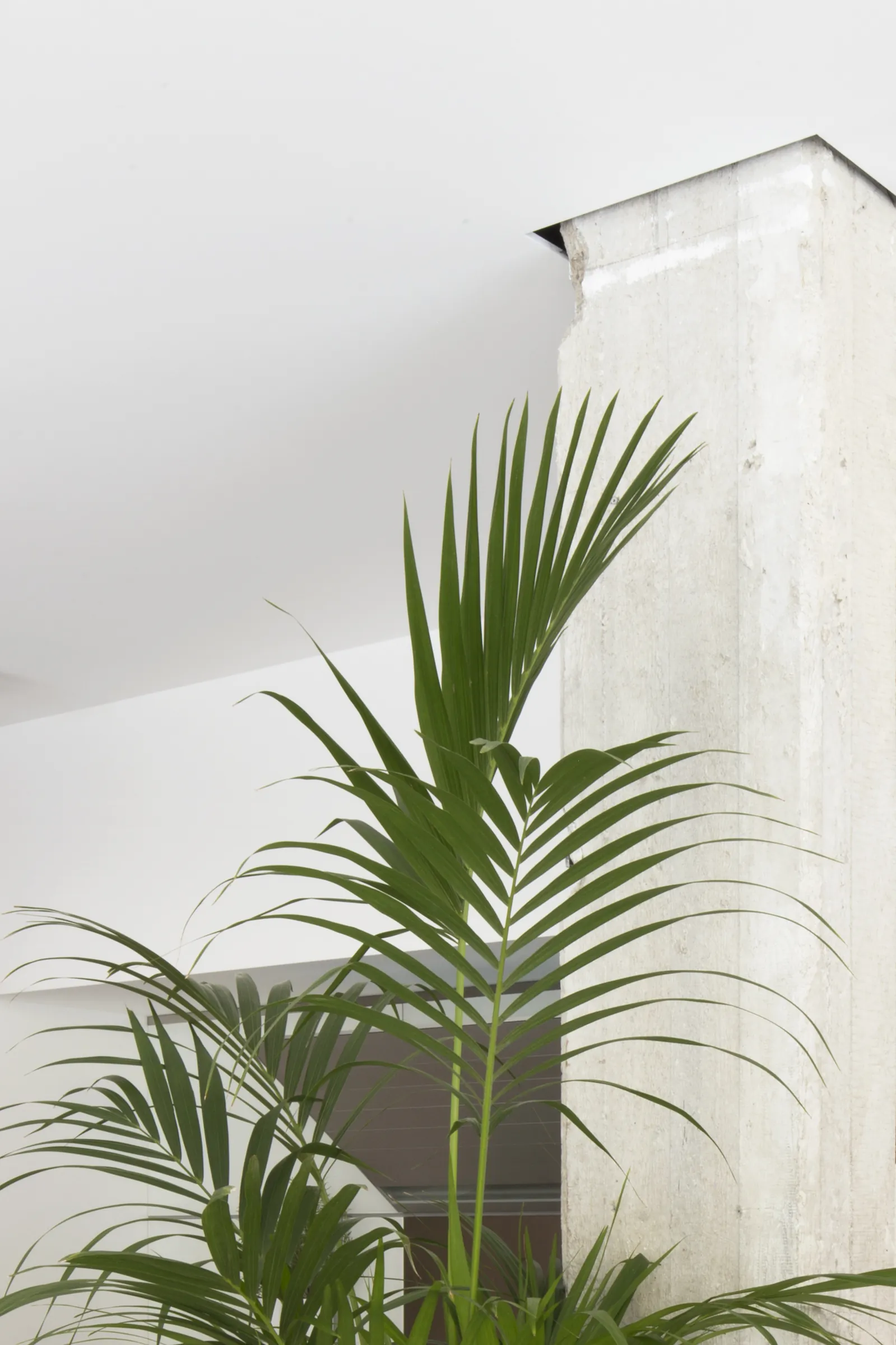 bulthaup palermo, Retail a Palermo — Studio Didea — Materiali